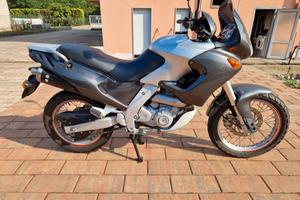 Aprila pegaso