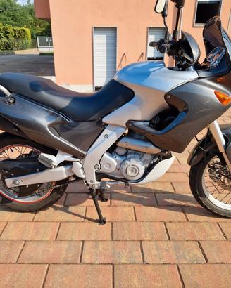 Aprila pegaso