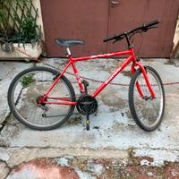 Bicicletta Bianchi Snake colore Rosso Adulti 