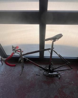 Telaio bici da corsa giant