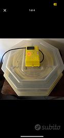 Incubatrice automatica