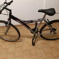mountain bike shadow 4000