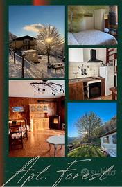 Appartamento all'Abetone