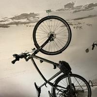 Bicicletta pedalata assistita