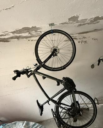 Bicicletta pedalata assistita