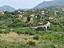 Immagine 14