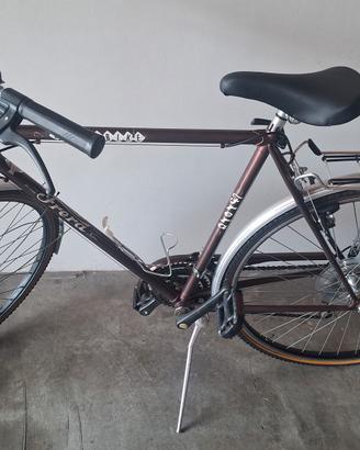 citybike da uomo