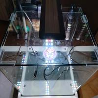 acquario 