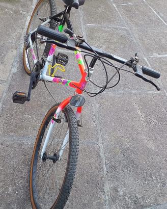Bicicletta