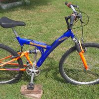 Bicicletta Mountain Bike