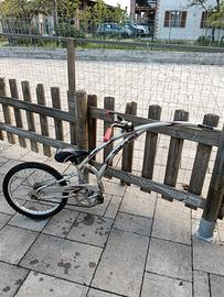 bicicletta traino cammellino bimbil