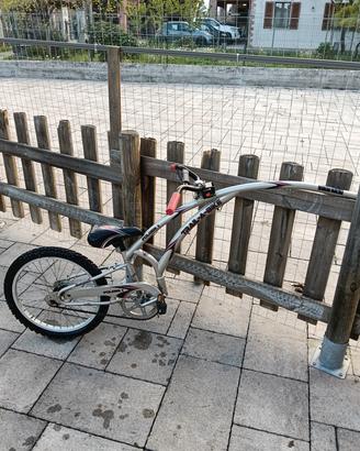 bicicletta traino cammellino bimbil