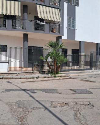 Locale commerciale-deposito 150mq via delle Palme