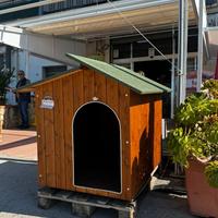 Cuccia per cani ORIGINAL LEGNO misura Alano