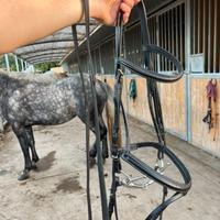 Testiera Inglese Equestro, FULL