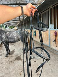 Testiera Inglese Equestro, FULL