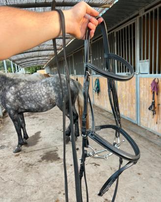 Testiera Inglese Equestro, FULL