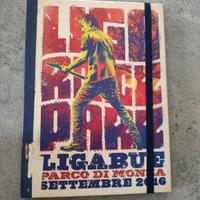 DVD Ligabue Liga Rock Park 2016 