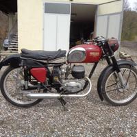 Bianchi 125 Freccia Celeste - 1954