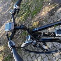 E-City bike  Pegasus da uomo 