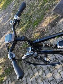 E-City bike  Pegasus da uomo 