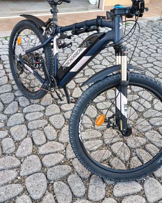 MTB e-bike Pedalata assistita 