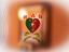 Immagine 12