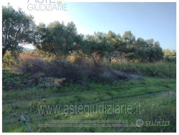 Terreno Agricolo Vasto [A4359704] - Vista 5