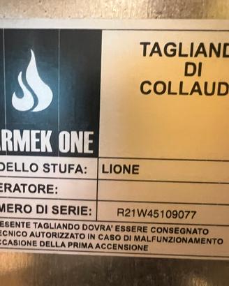 Caldaia pallet termostufa