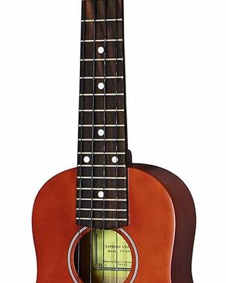 Chitarra Ukulele