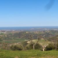 Terreno agricolo 6 ettari