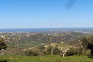 Terreno agricolo 6 ettari