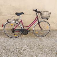 bicicletta da donna