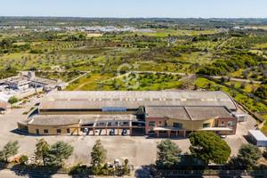 Locale commerciale - Salve