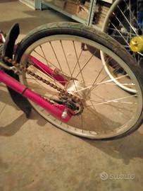 ciclo