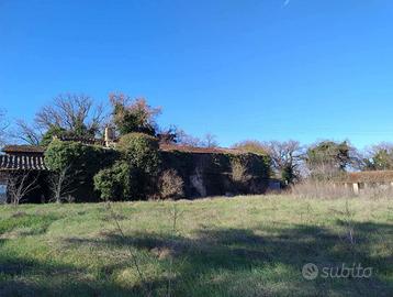 Rustico/Casale/Corte Torgiano [GRIM2945VTG]