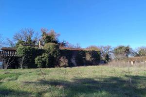 Rustico/Casale/Corte Torgiano [GRIM2945VTG]
