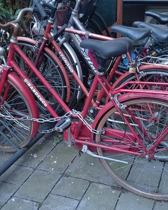 bici donna 