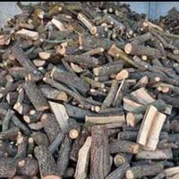 legna da ardere secca 