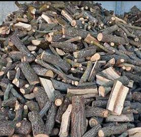 legna da ardere secca 