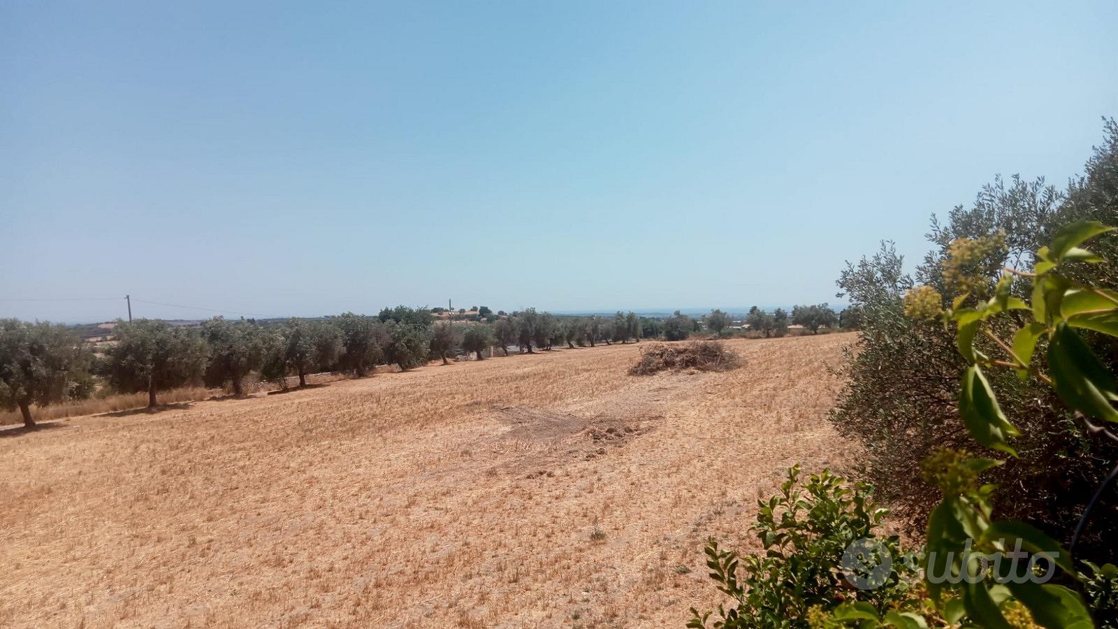 Terreno agricolo Ispica contrada Scorsone, 7300 mq - Vista 4