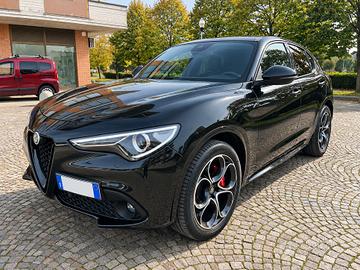 Alfa Romeo Stelvio Stelvio 2020 2.2 t Veloce Q4 21
