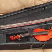violino 