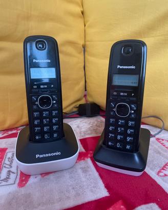 Duo Cordless Panasonic