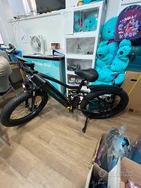 Bici elettrica