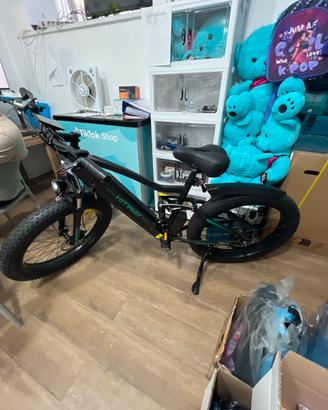 Bici elettrica