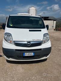 Furgone Opel Vivario (Cella Frigo)