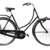 bicicletta olandese