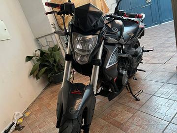 benelli bn 302