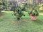 Immagine 14